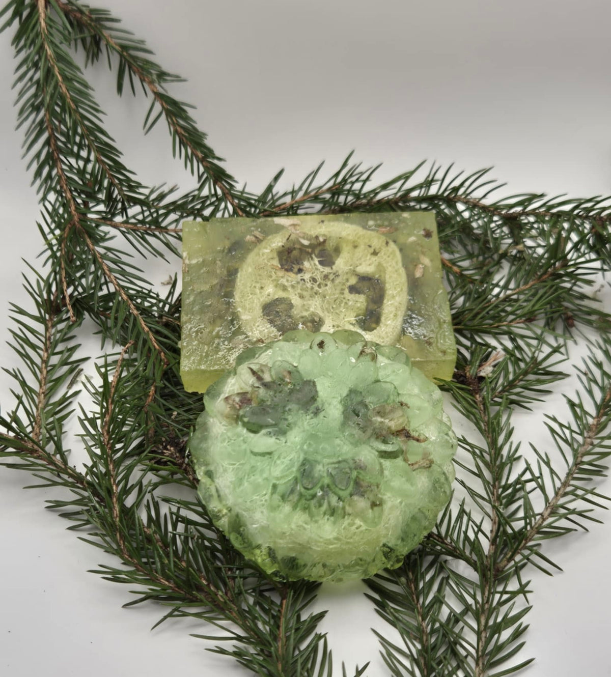 Exfoliating Body Soap blend with Aloe Vera and Icelandic Moss