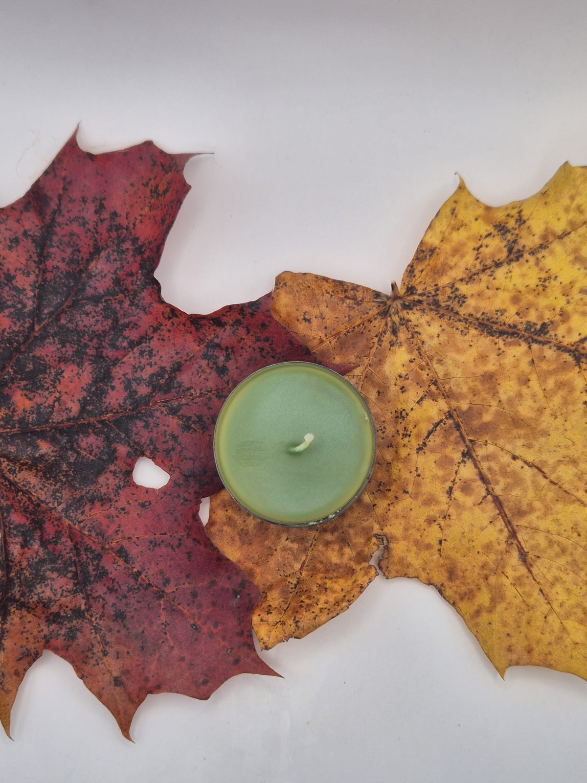 Round shape Beewax Fragrance Candle