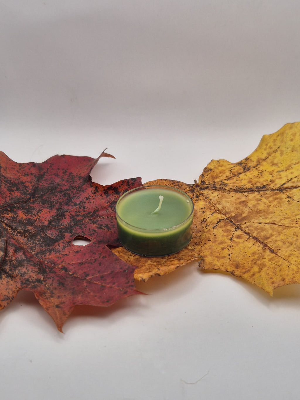 Round shape Beewax Fragrance Candle