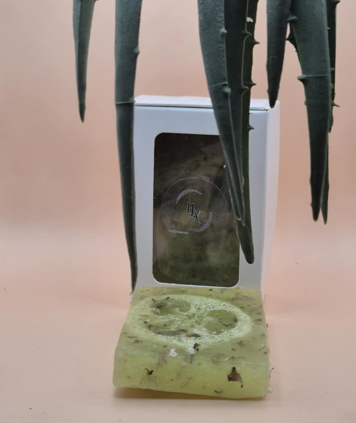 Aloe vera Exfoliation skin Soap